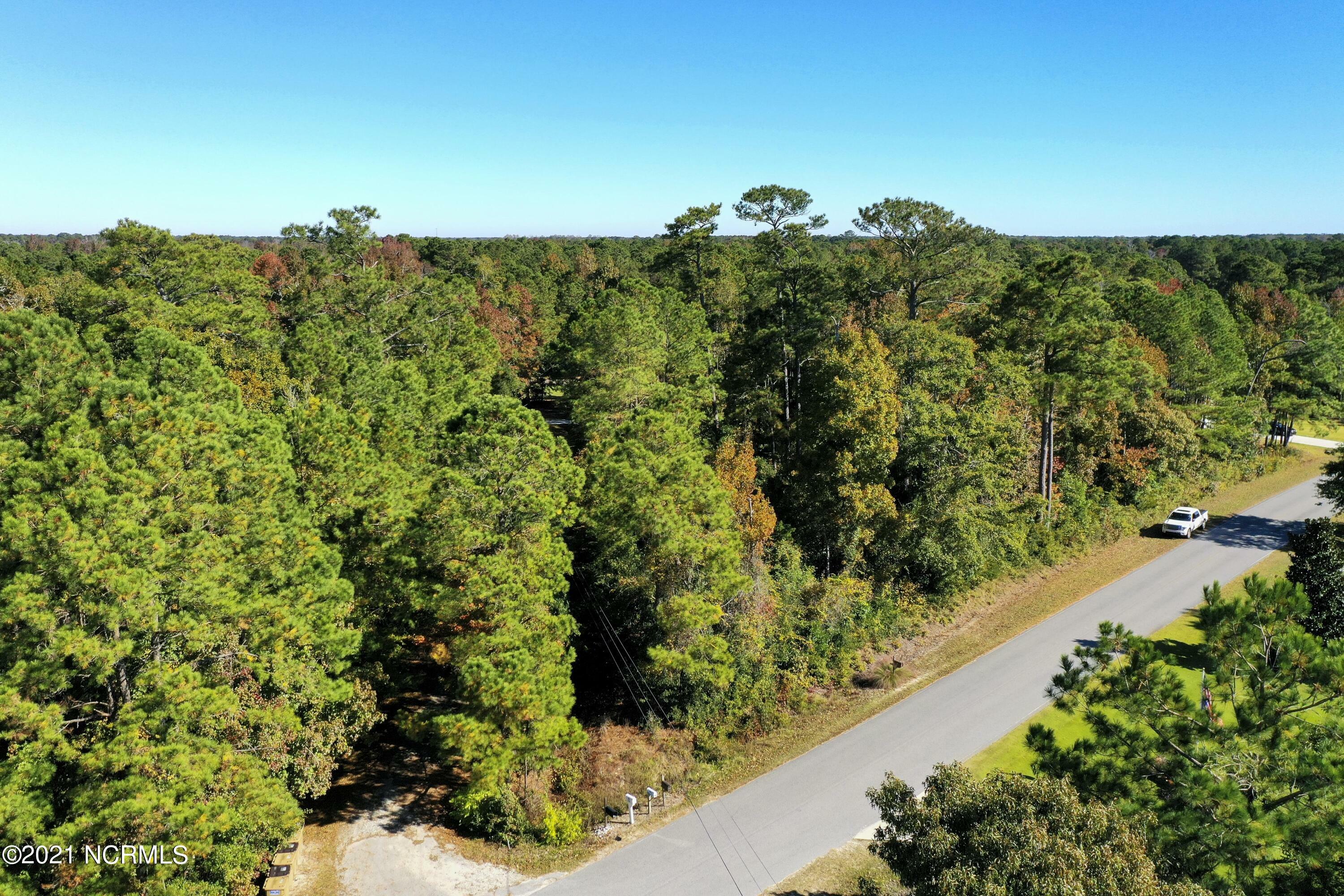 Property Photo:  Lot 28 Atkinson Loop Road  NC 28443 