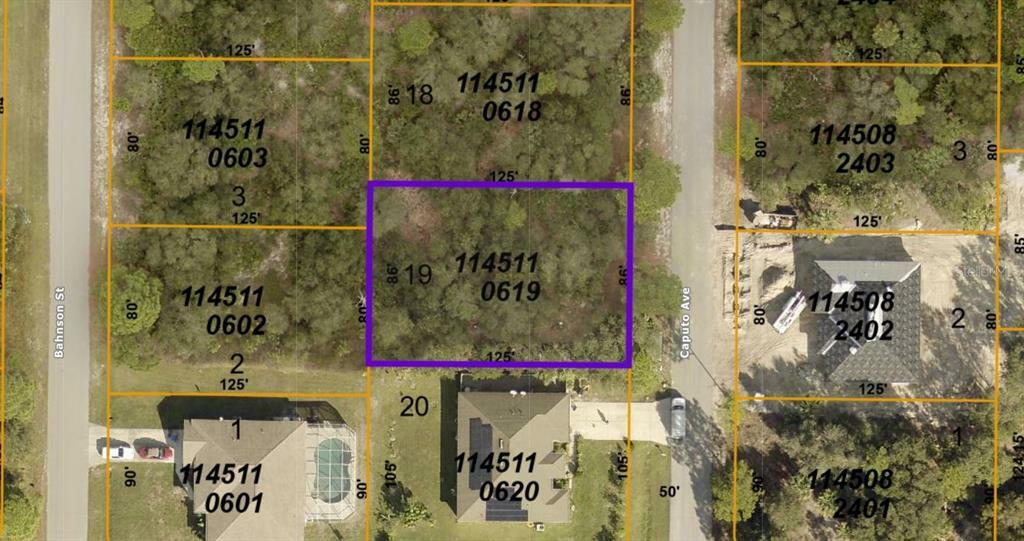 Property Photo:  1145110619 Caputo Road  FL 34288 