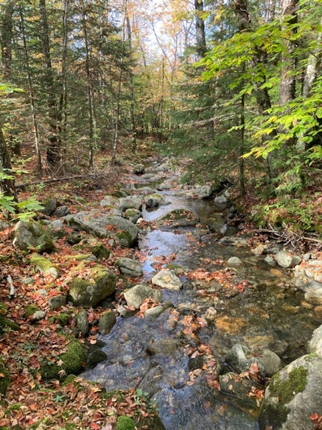 Property Photo:  Tbd French Settlement Road  VT 05443 