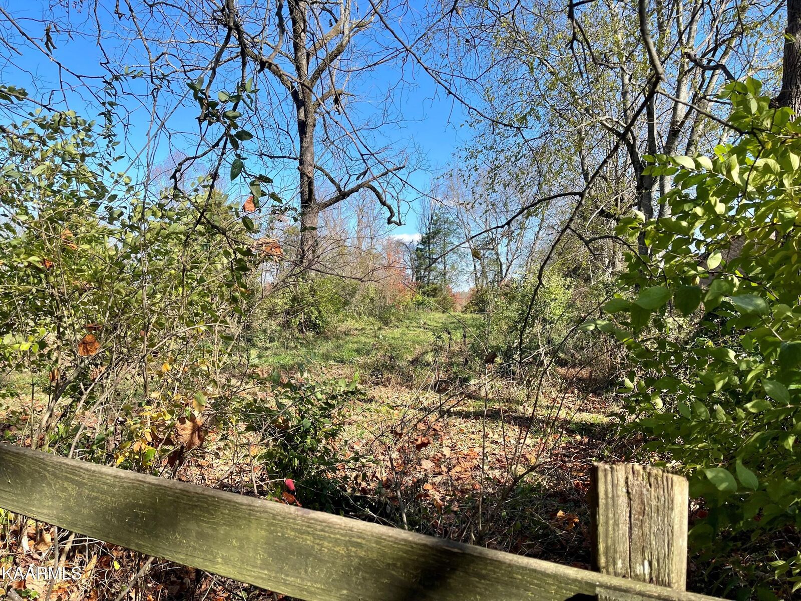Property Photo:  Gillenwater Rd  TN 37801