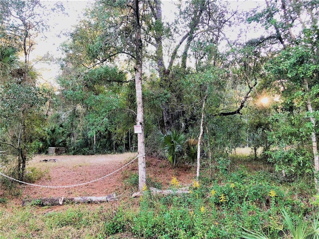 Property Photo:  13122 W Cornflower Drive  FL 34428 