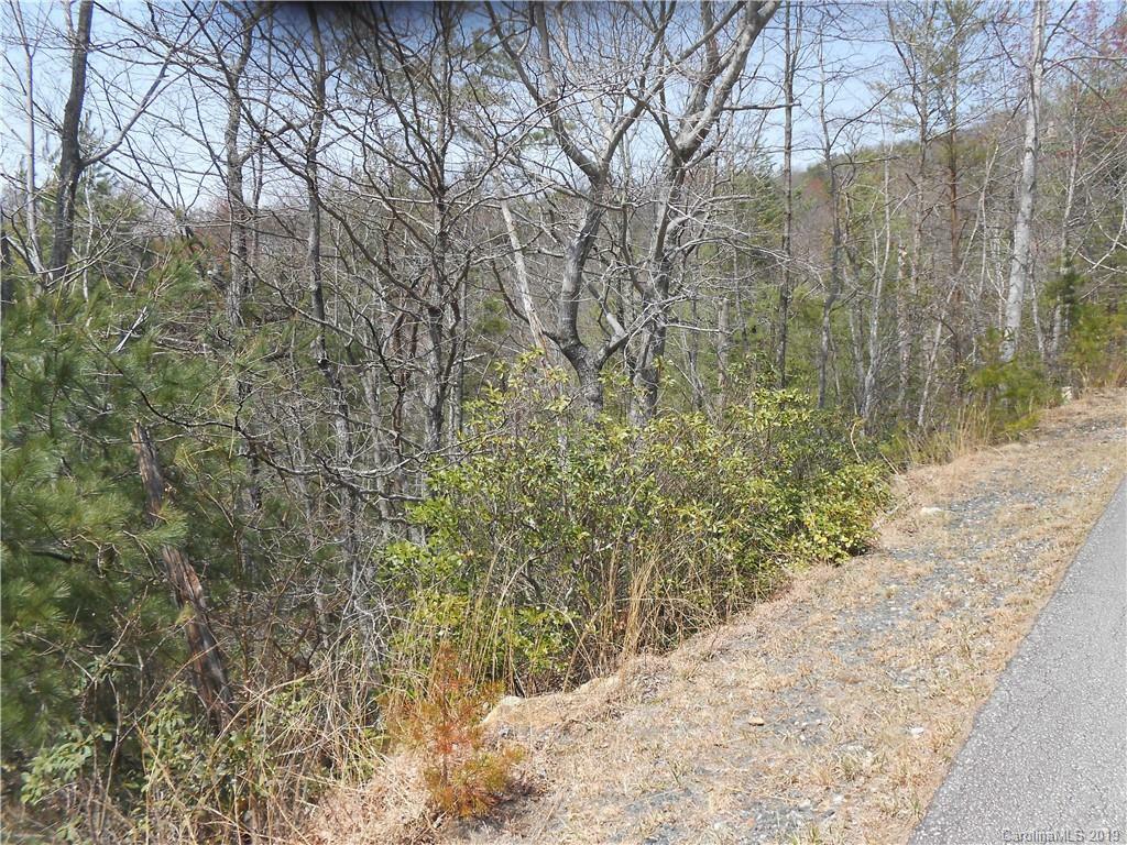 Property Photo:  Lot 27 Linville Drive  NC 28752 