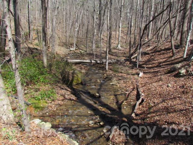 Property Photo:  00 Shadow Creek Lane  NC 28722 