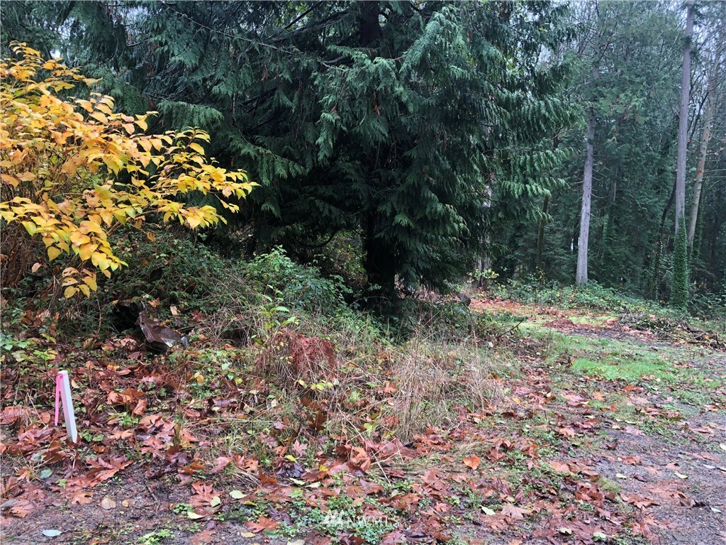 Property Photo: 0 NE Alder Street WA 98342