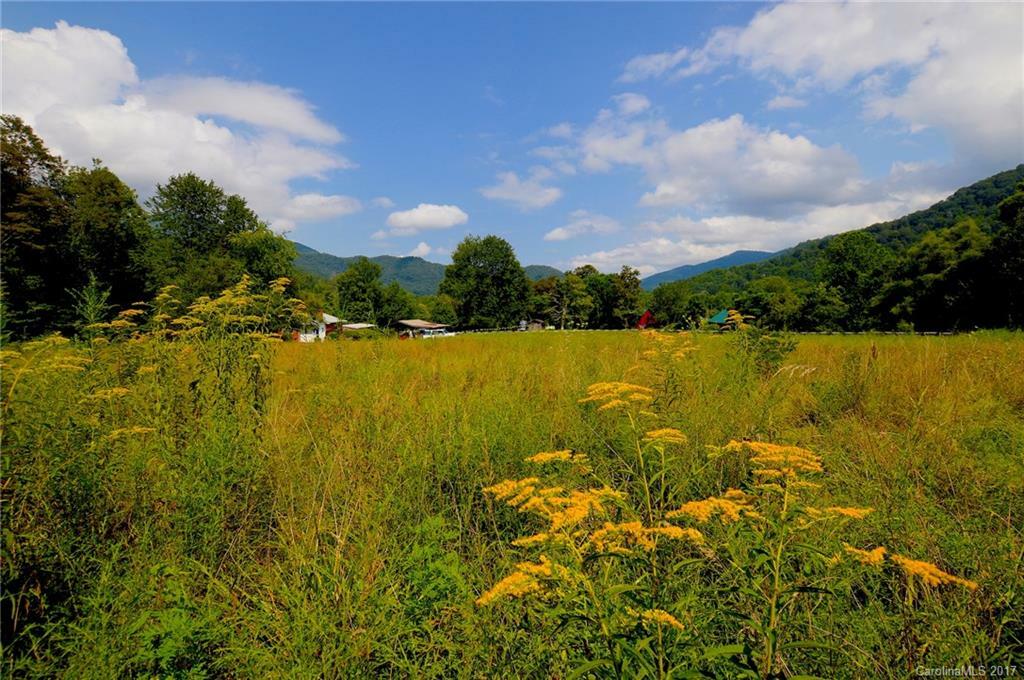 Property Photo:  85 Setzer Cove Road  NC 28751 