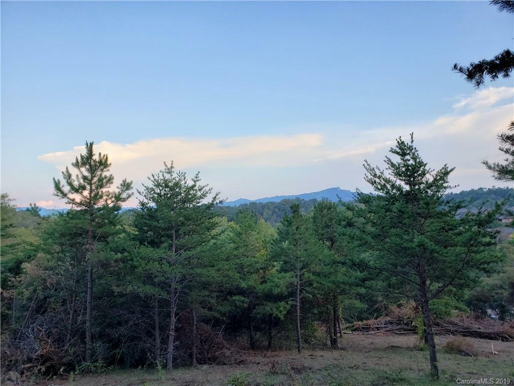 Property Photo:  99999 Pinebrook Road  NC 28787 