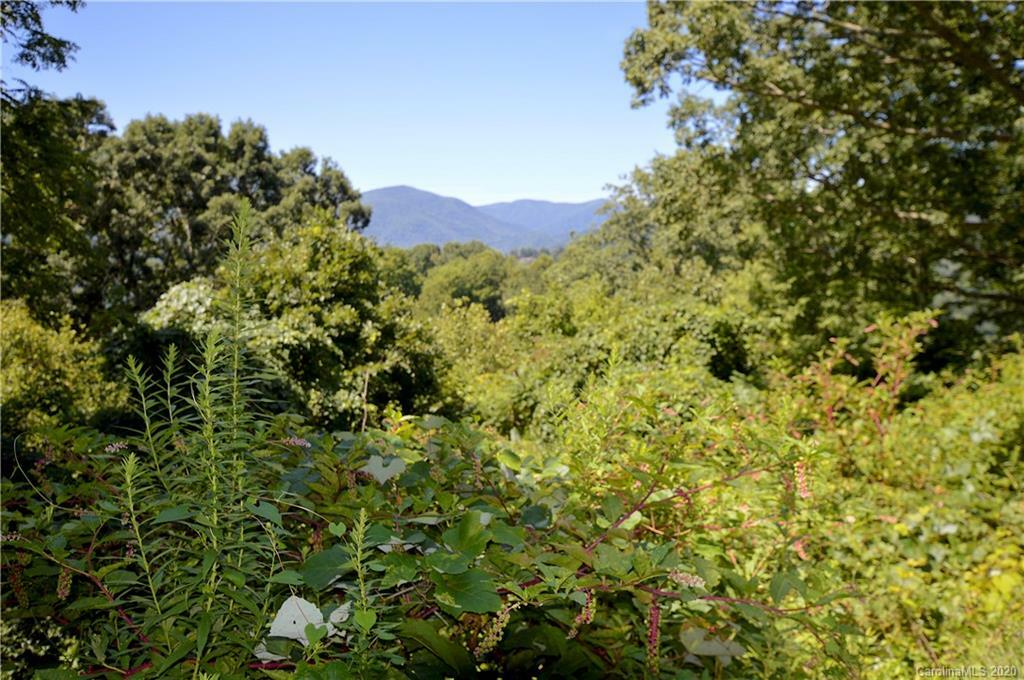 Property Photo:  20 Tanner Trail  NC 28785 