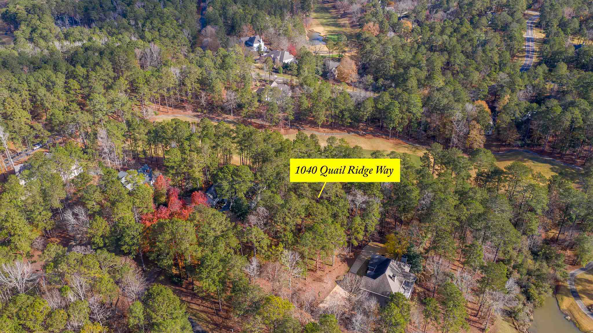 Property Photo: 1040 Quail Ridge Way GA 30642