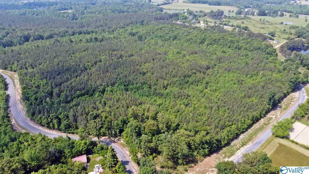 Property Photo: 000 County Road 326 AL 35966