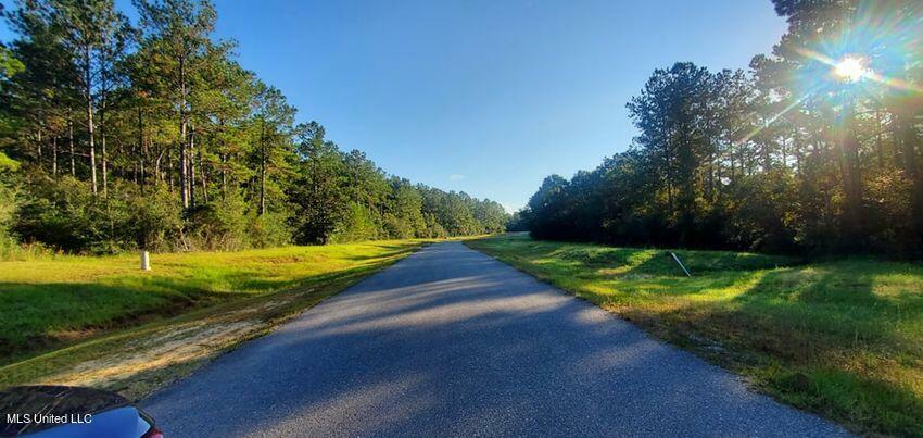 Lot 3 Eagle Ridge Rd  Vancleave MS 39565 photo