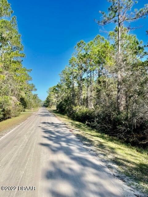 5313 Willow Lane  Bunnell FL 32110 photo