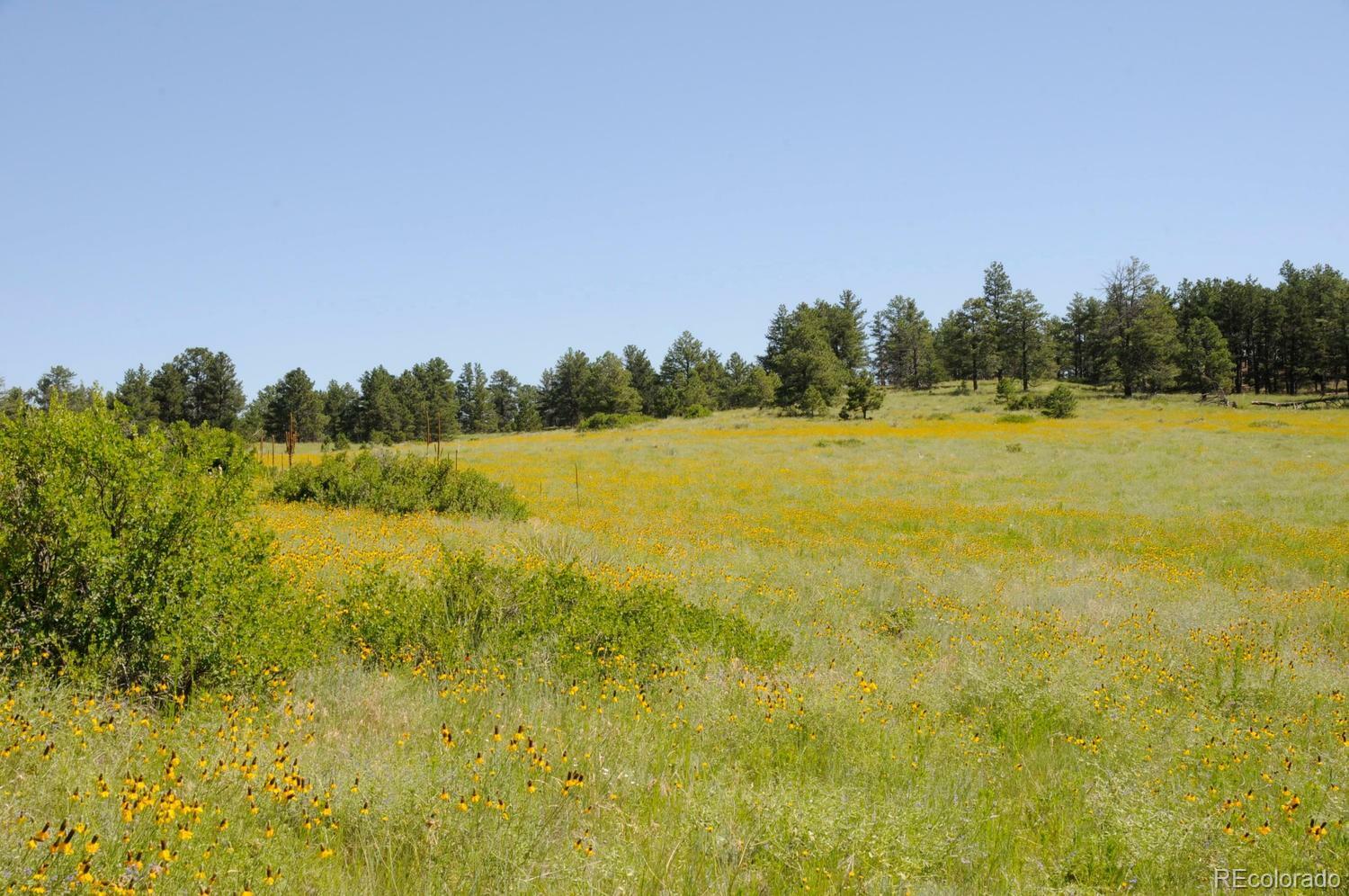 Property Photo:  22066 Amethyst Road  CO 80105 