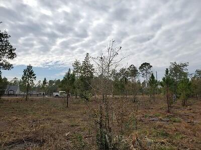 Property Photo:  34435 Mitigation Trail  FL 32011 