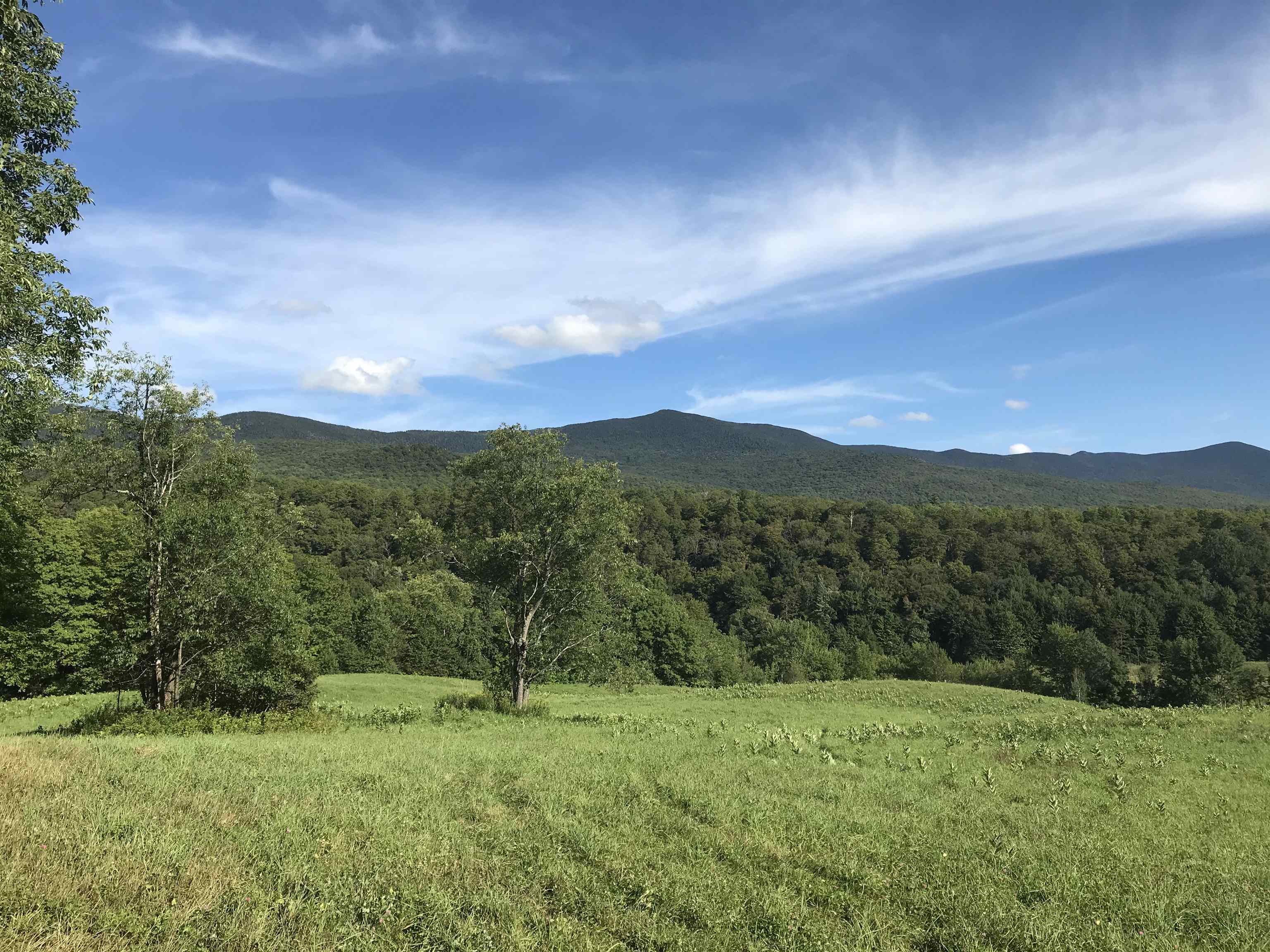 Property Photo:  Lot 7 Vt Route 17  VT 05487 