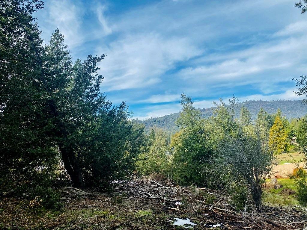 Property Photo:  2349 Shoshone Road  CA 95338 