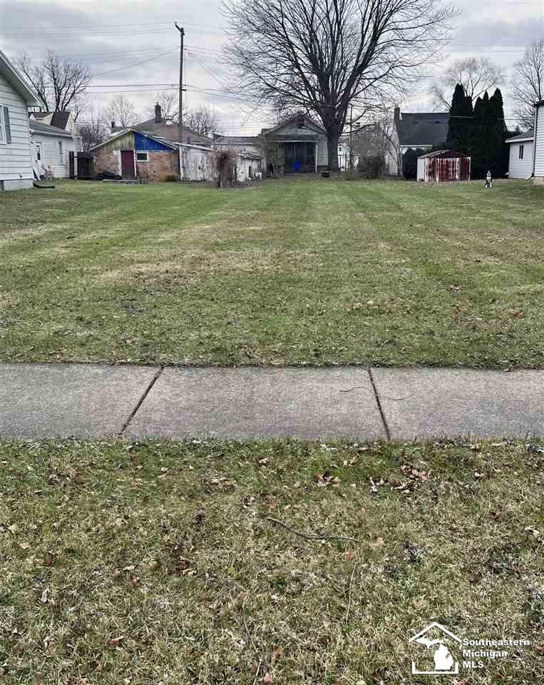 246 Dunham Vacant Lot  Dundee MI 48131 photo