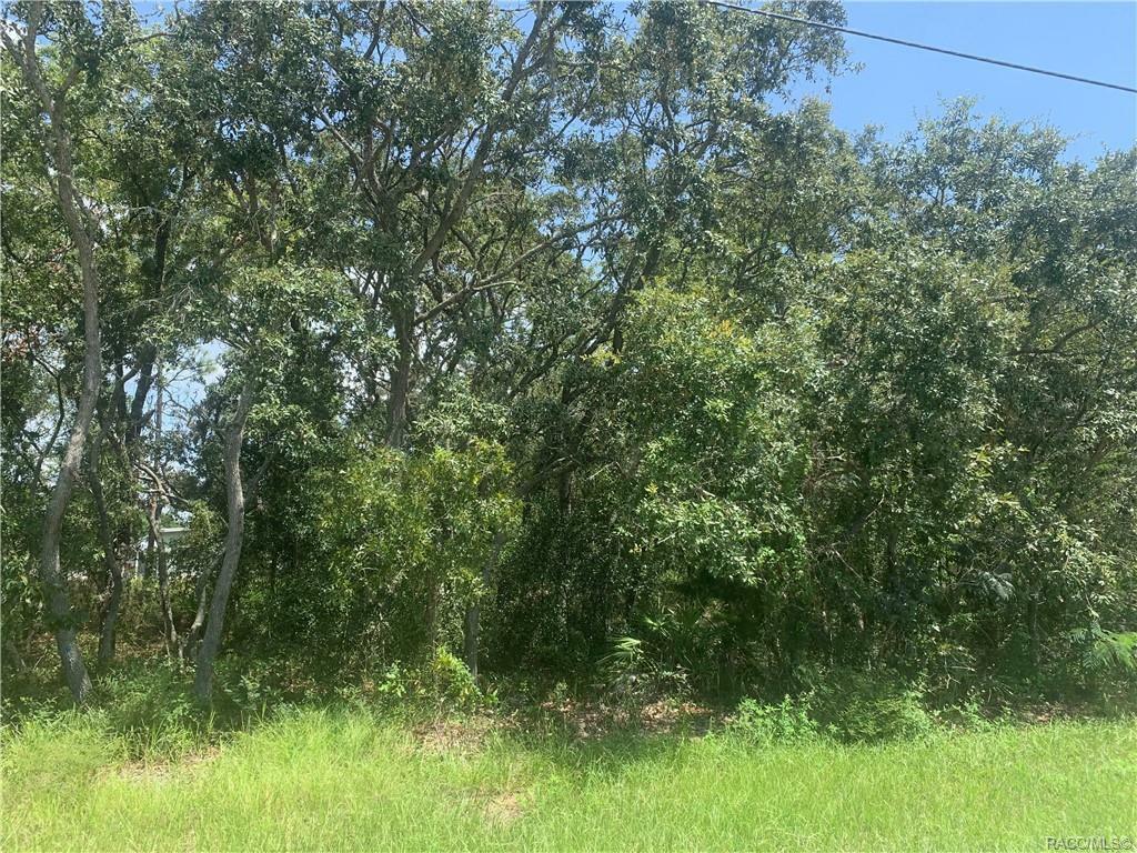 6859 W Merrivale Lane  Homosassa FL 34446 photo