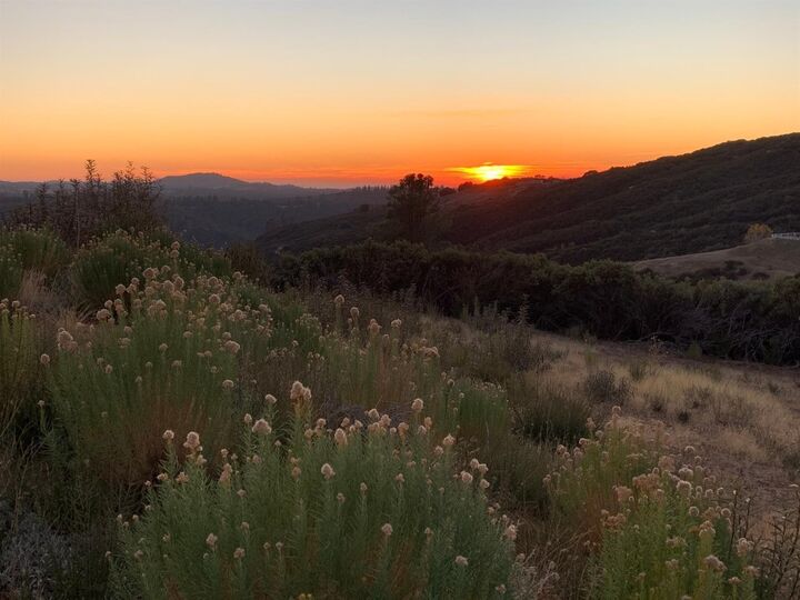 168 Acres Snowbird Lane  Somerset CA 95684 photo