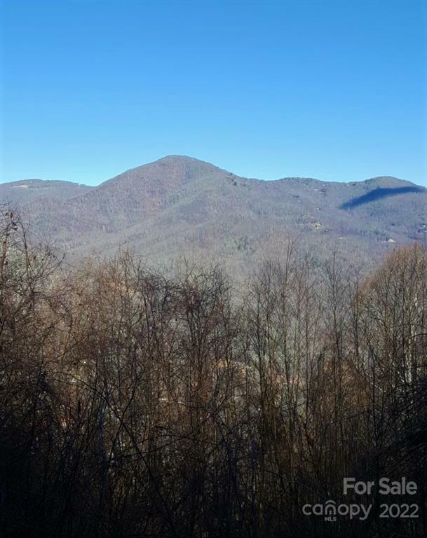 10 Robin Roost Drive  Maggie Valley NC 28751 photo