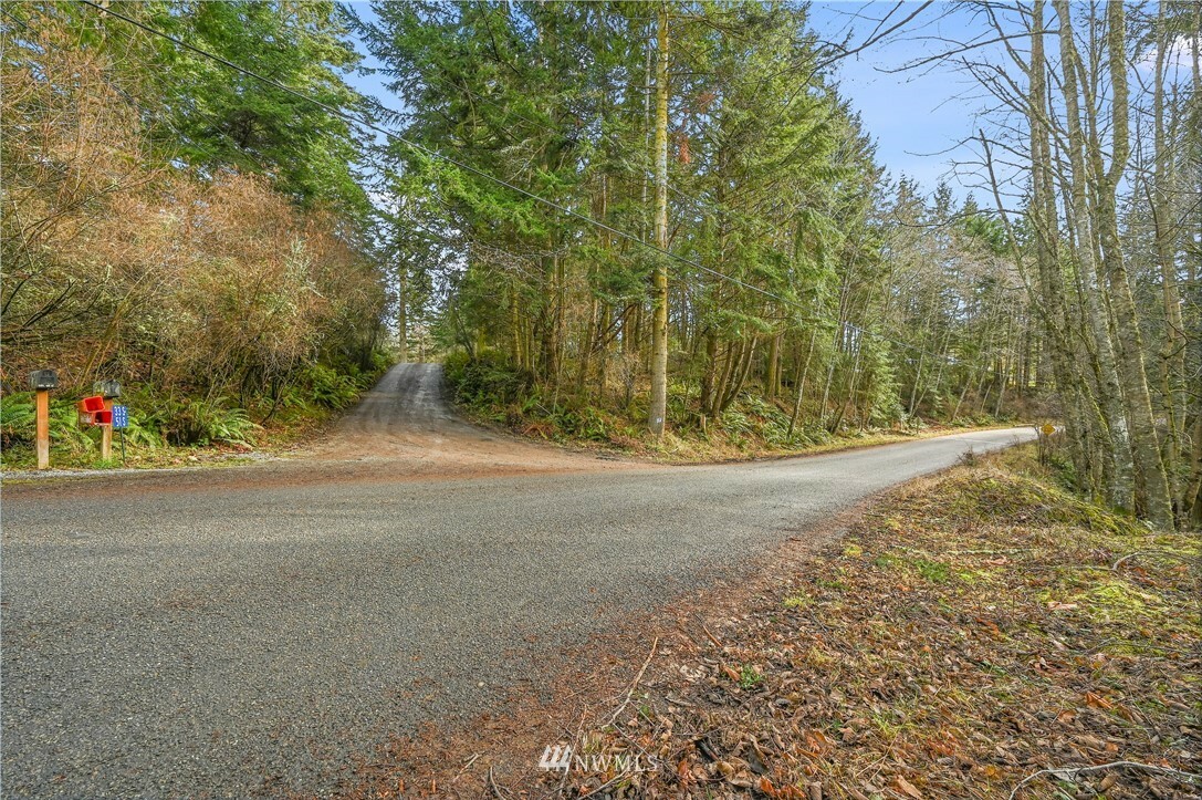 53 S Pheasant Run Road  Coupeville WA 98239 photo