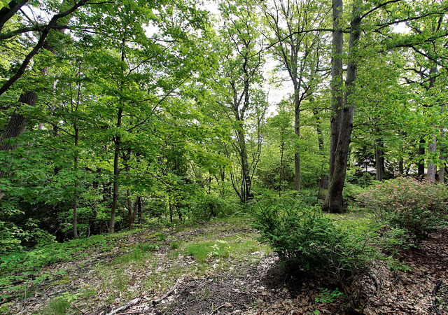 Property Photo:  651 Hibbard Road  IL 60093 