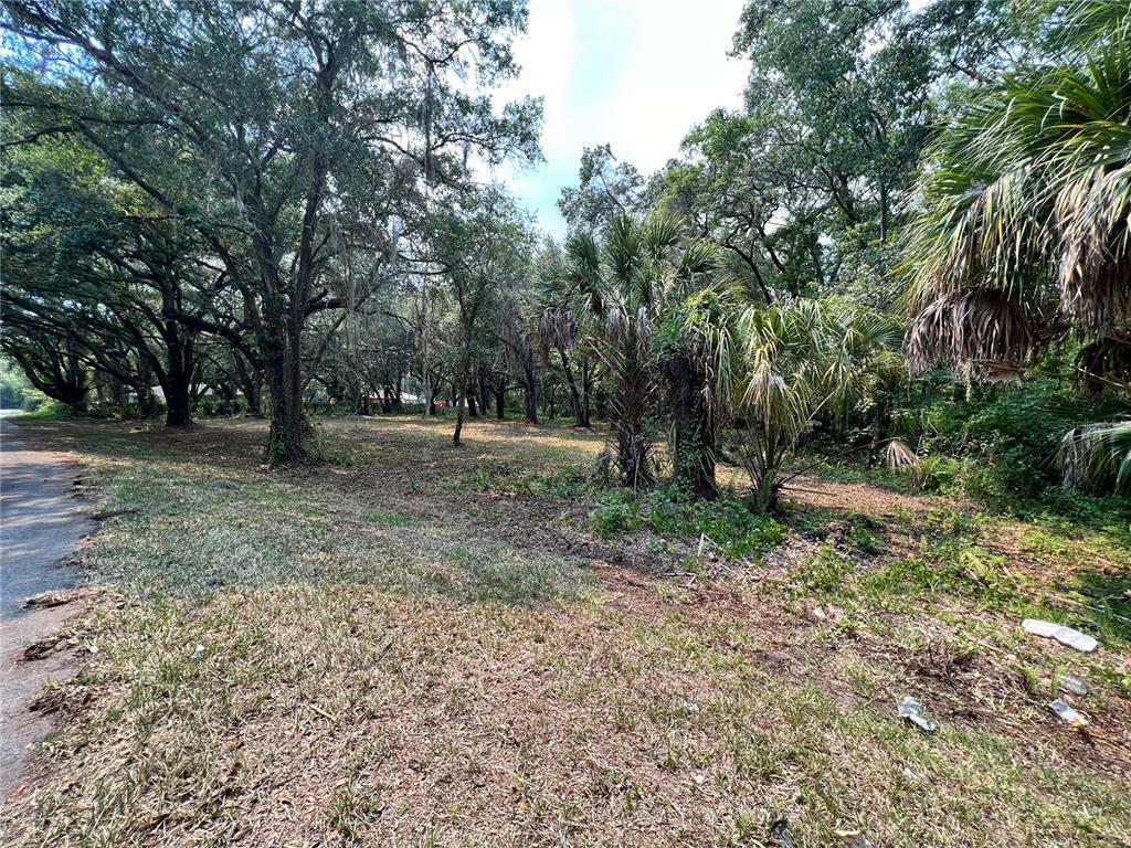 Property Photo:  195 Kirkland Park Street  FL 33835 