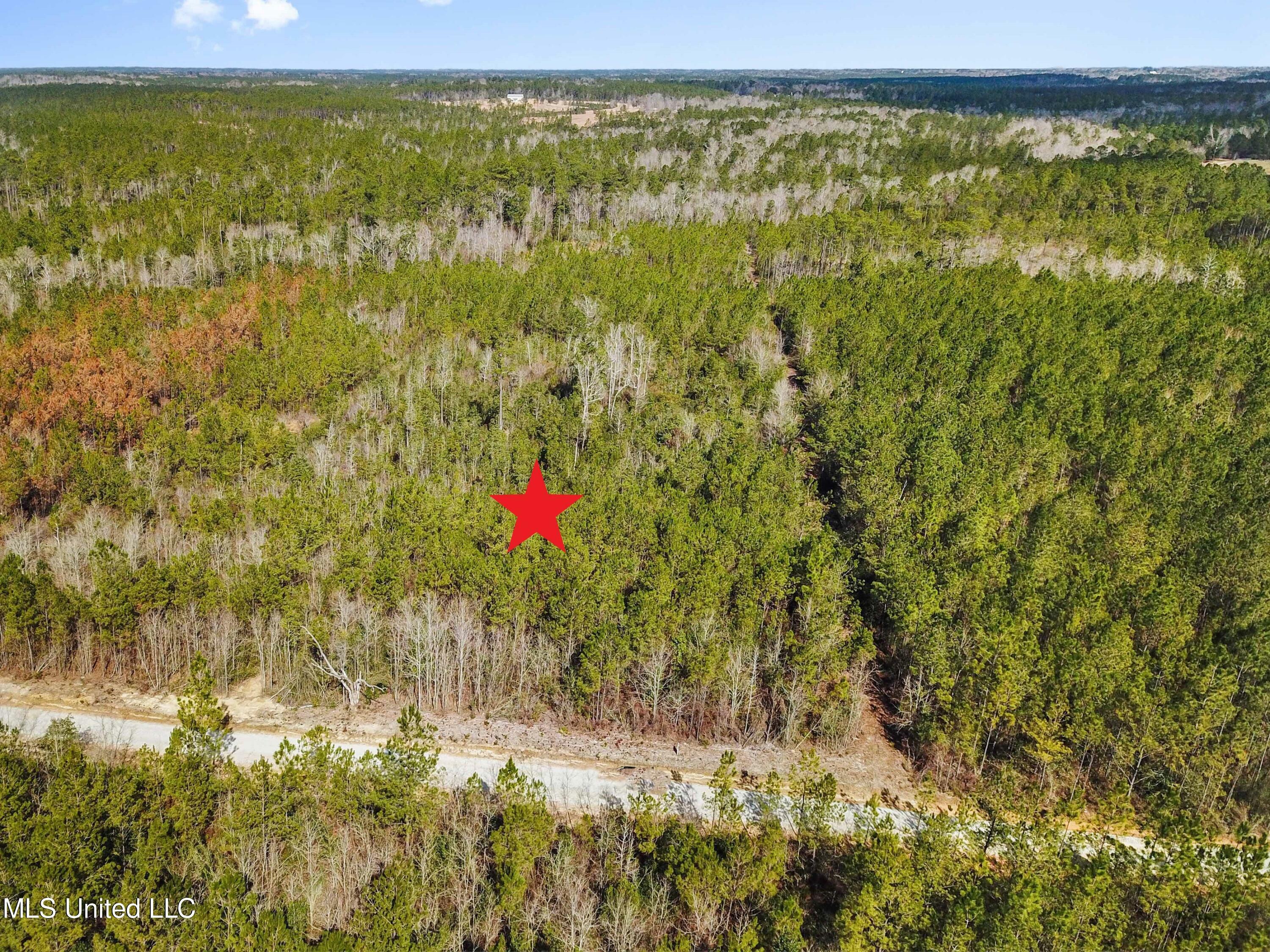 Property Photo: 10 Acres McLeod Country Road MS 39571