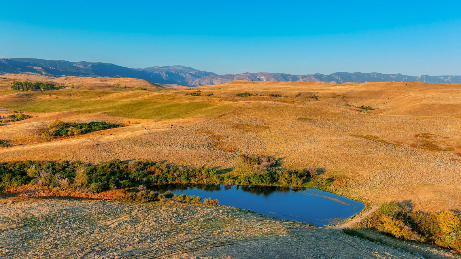 Property Photo: Tbd Bird Farm Road WY 82833