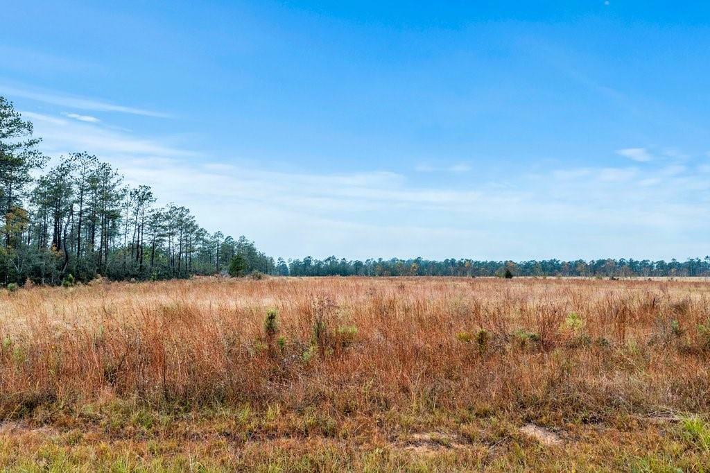 Property Photo:  McCorquodale Lot 17 Road  LA 70652 