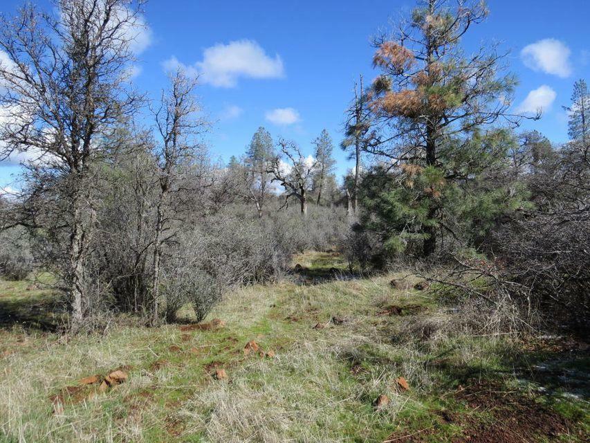 Property Photo:  Lack Creek Rd  CA 96088 