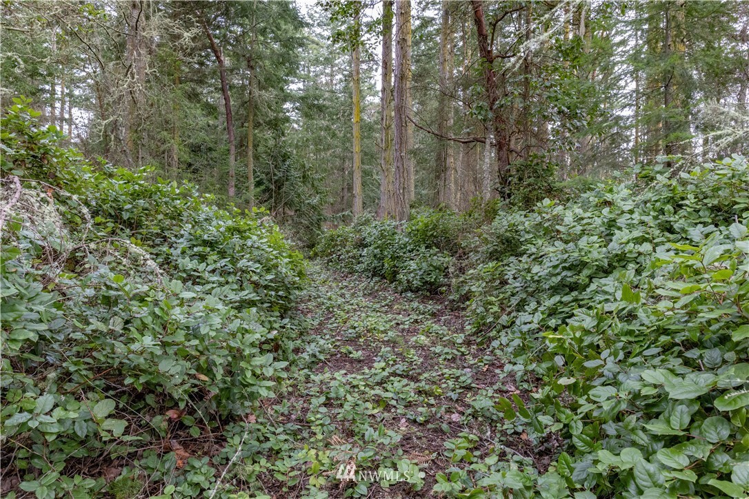 Property Photo: 1405 Schwartz WA 98358