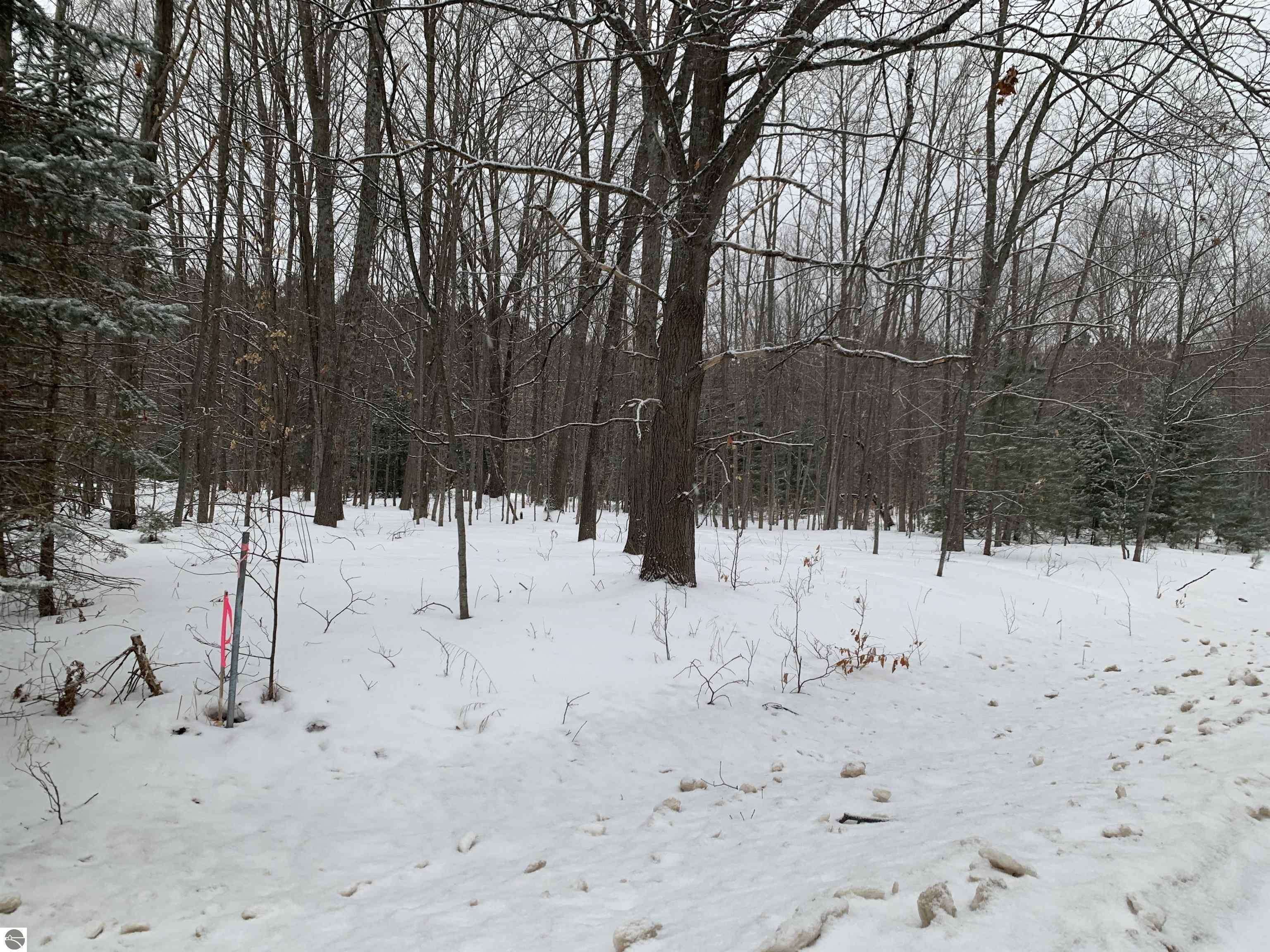 0 Thiel Road  Traverse City MI 49685 photo