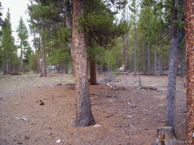 Lot 71 Lodgepole Dr  Twin Lakes CO 81251 photo