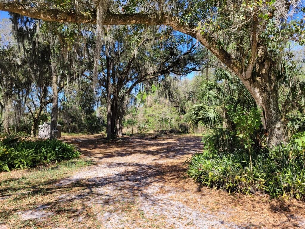 Property Photo:  3804 Medulla Road  FL 33566 