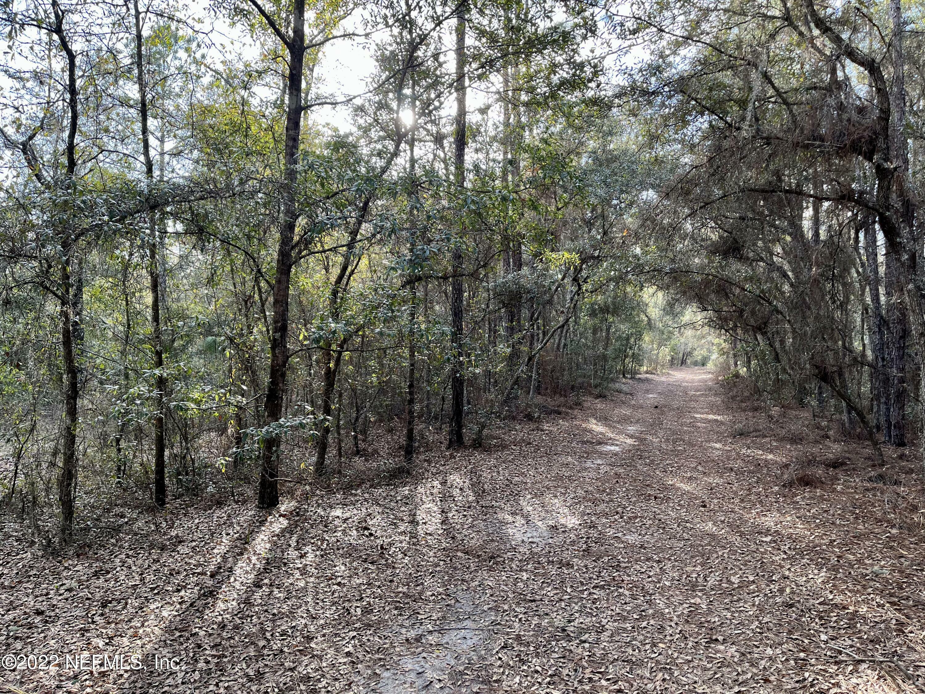 Property Photo:  123 Buckskin Drive  FL 32140 