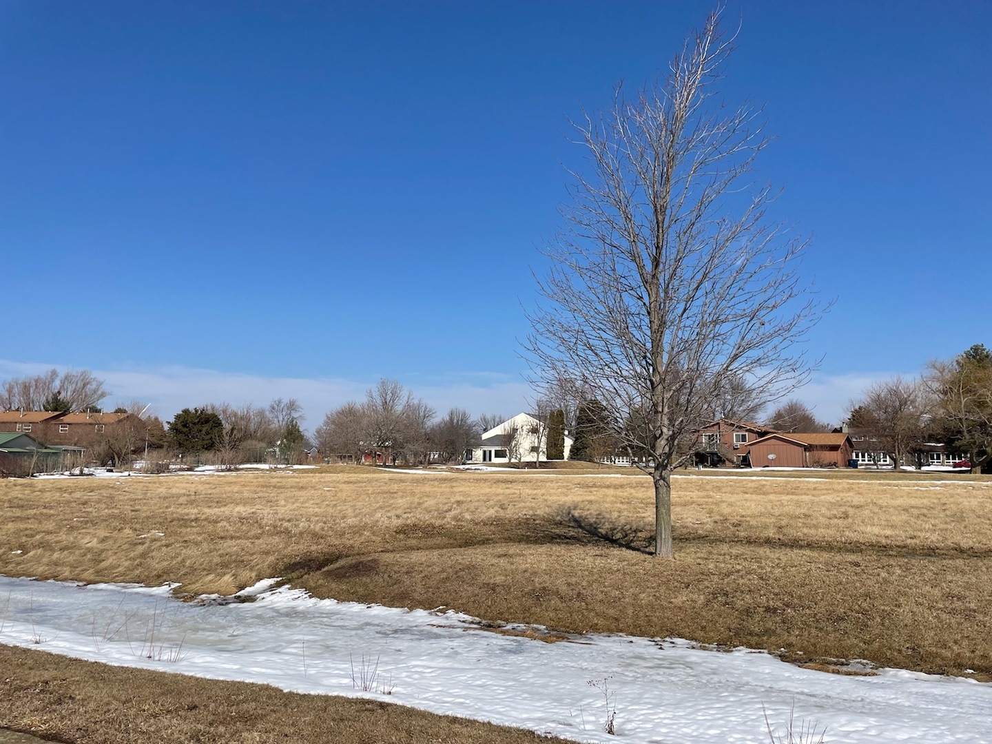 Property Photo:  162 Prairie Turn  IL 60919 