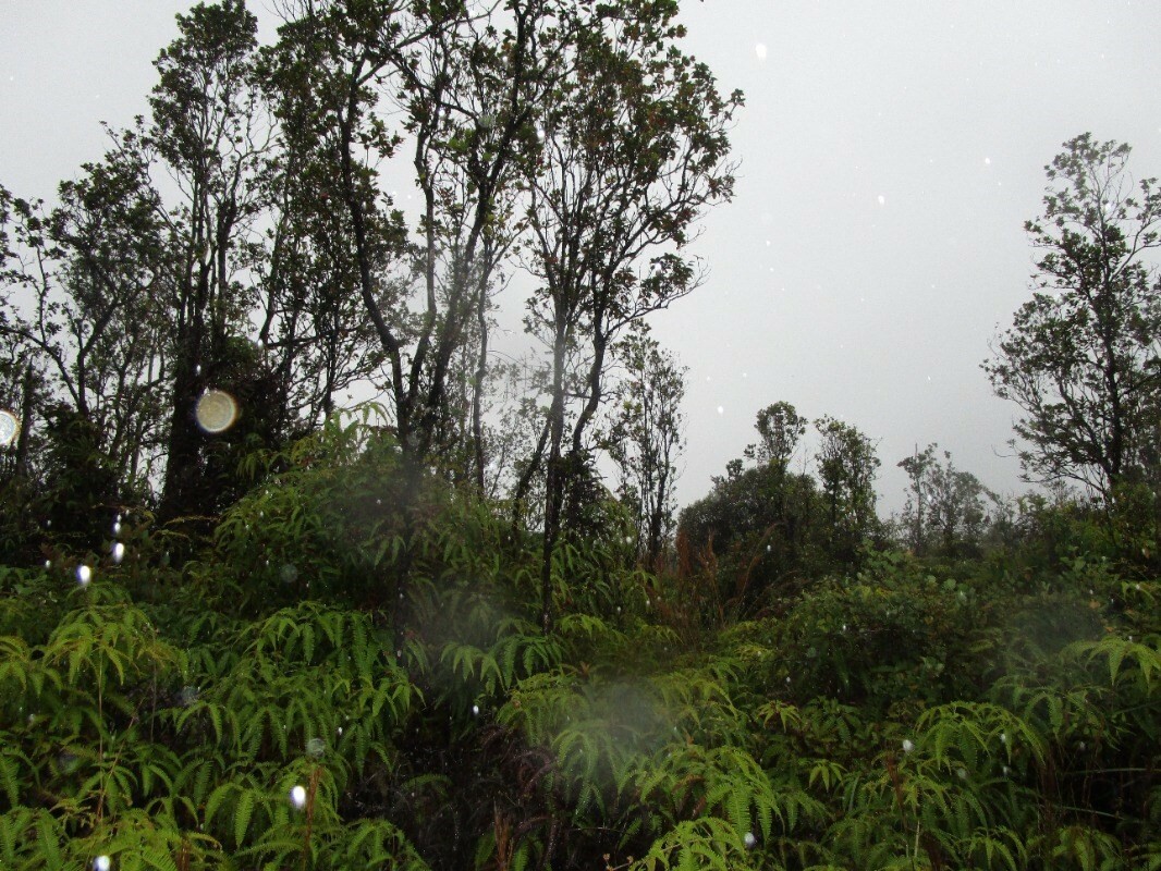 Property Photo:  Ohialani Rd  HI 96785 
