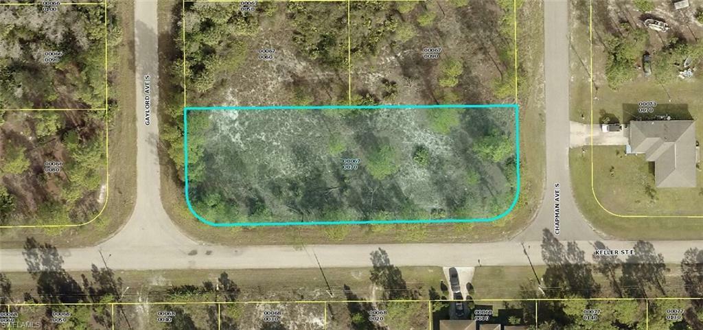 Property Photo:  815 Gaylord Avenue S  FL 33974 