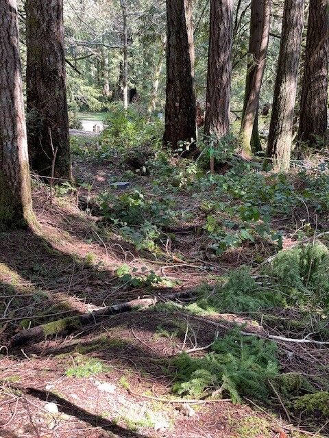 Property Photo: 149 E Nantucket Road WA 98584