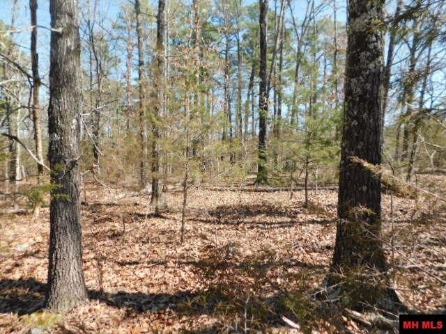 516 Quail Way  Dolph AR 72528 photo
