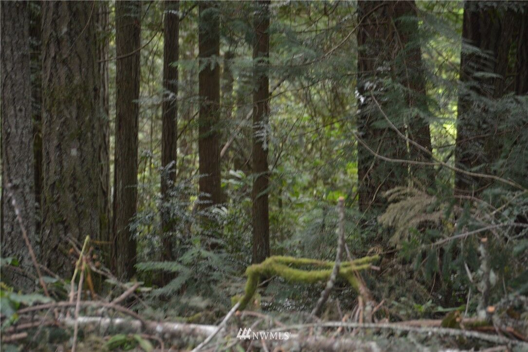 Property Photo:  0 Old Military Road  WA 98370 