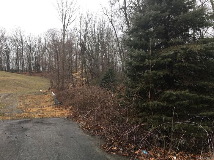 1 Guion Lane  Bedford NY 10506 photo