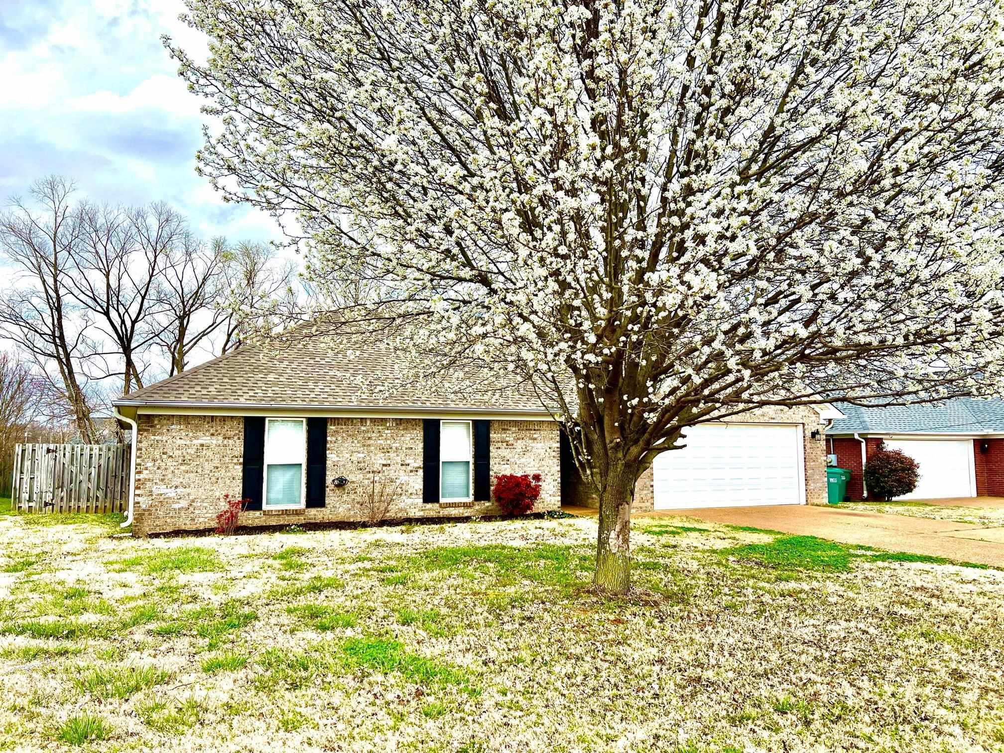 Property Photo:  163 Romie Drive  TN 38305 