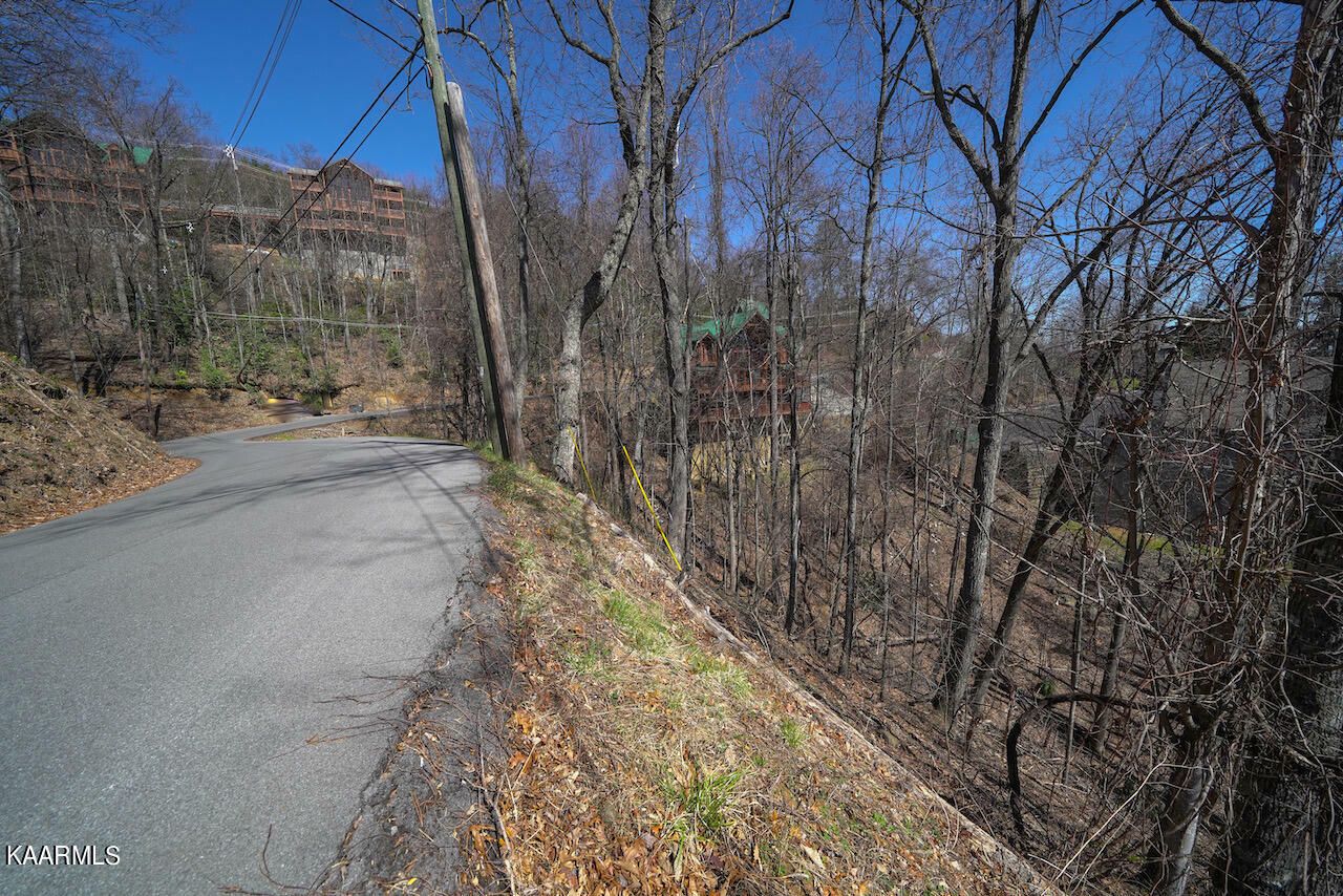 Lot 26 Upper Alpine Way  Gatlinburg TN 37738 photo