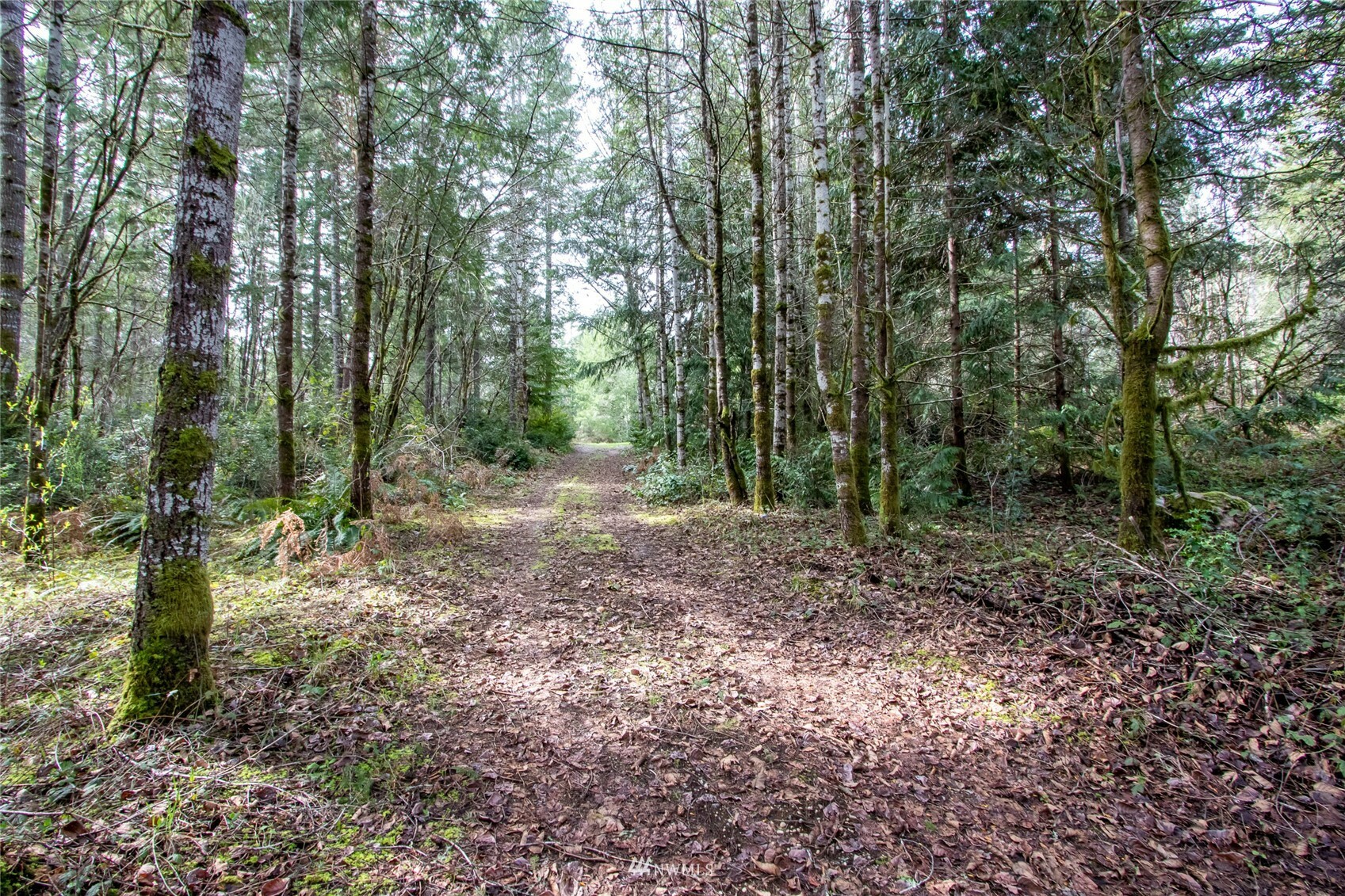 Property Photo:  814 195th Avenue SW  WA 98349 