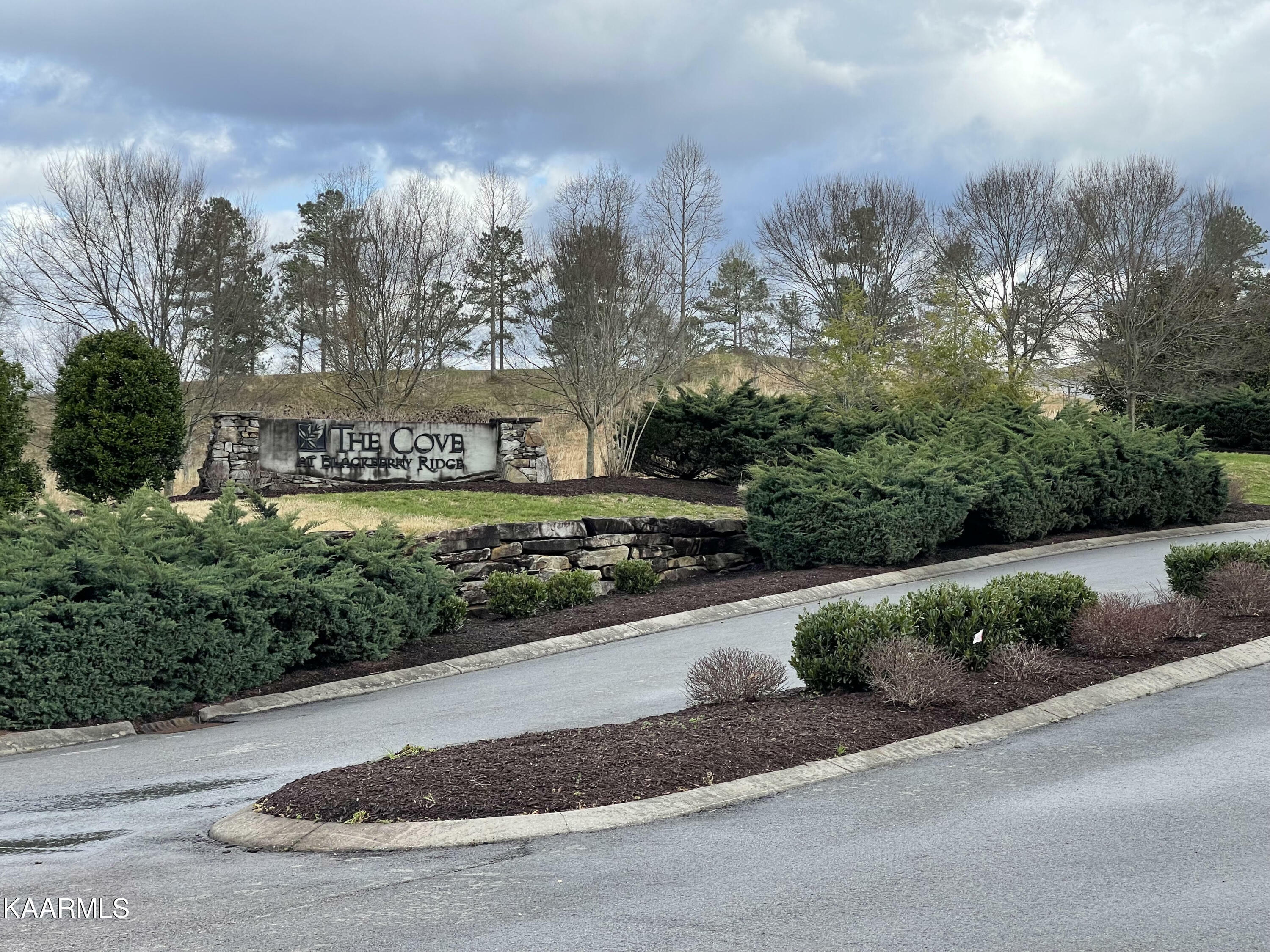Property Photo: 194 Lake Ridge Drive TN 37774