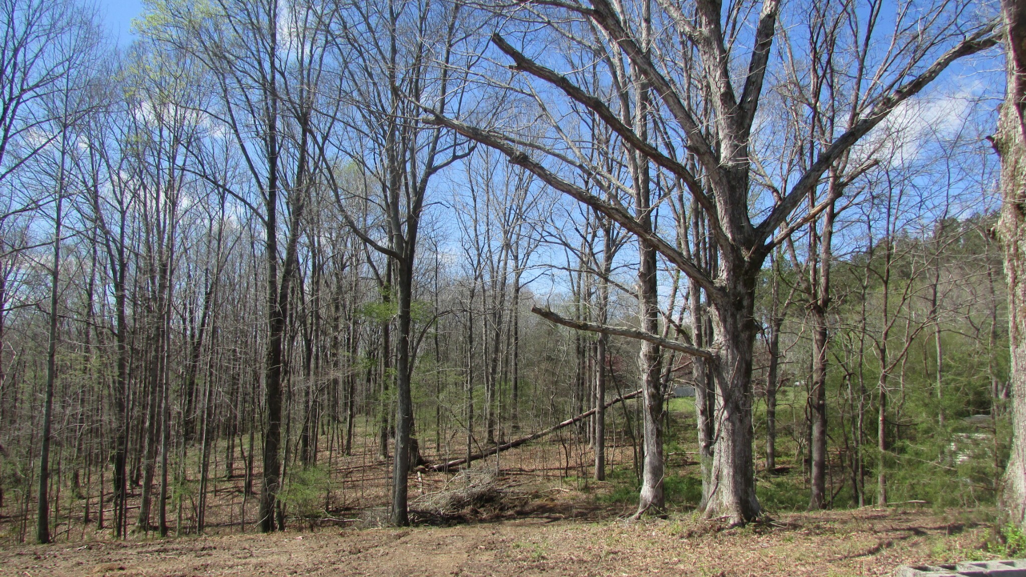 Property Photo:  0 Clax Br Rd N  TN 38469 