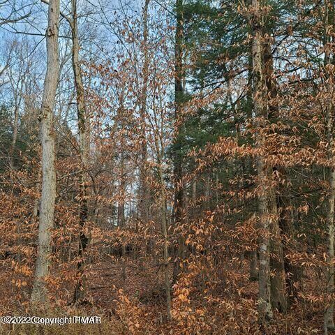 Property Photo: S Of Pa 157 PA 18334