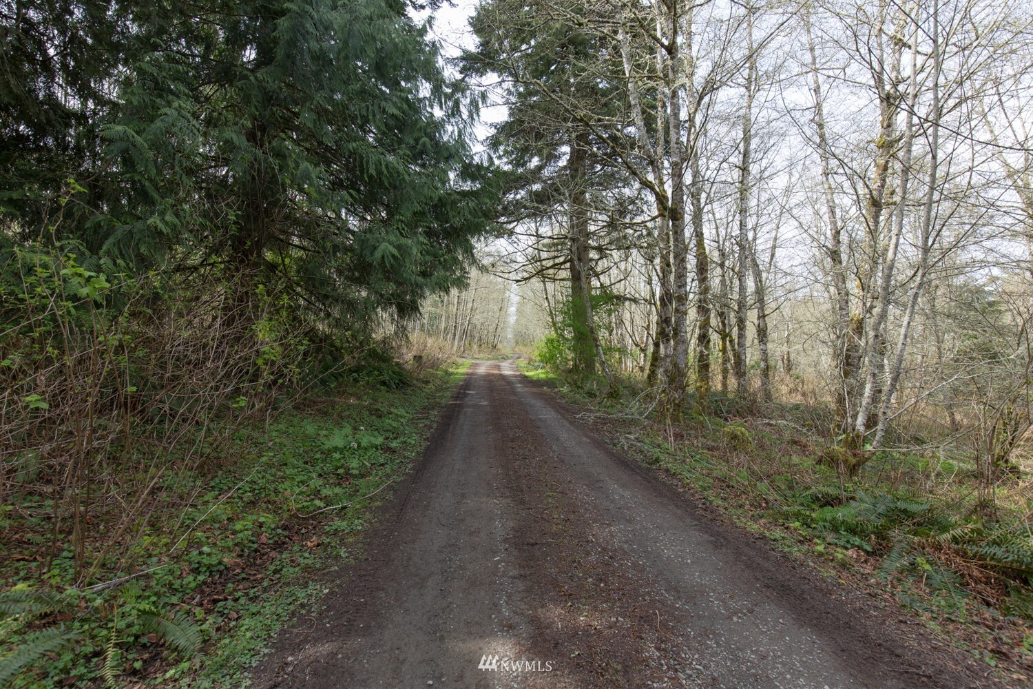 Property Photo: 283 Springhaven Lane WA 98363
