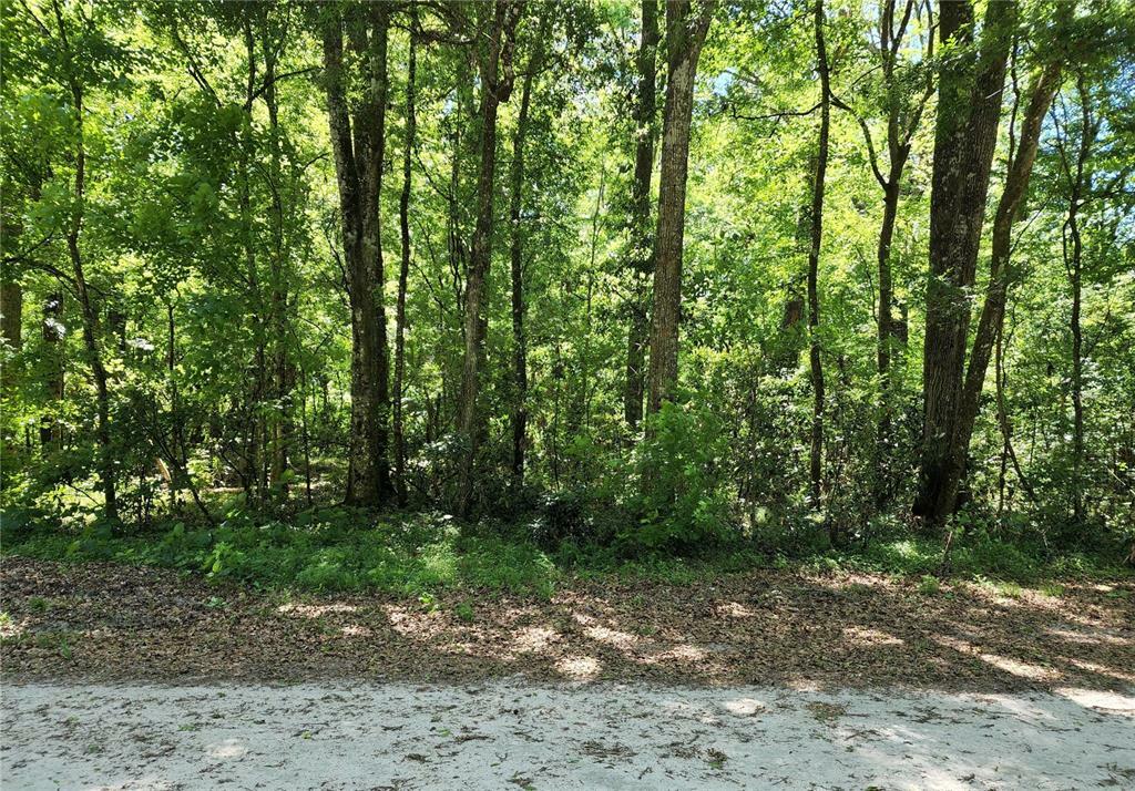 Property Photo:  0000 SW Delaware Way  FL 32038 